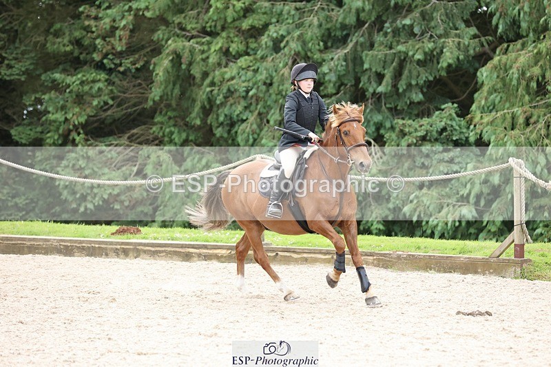 240616-110641-03350 - 60cm