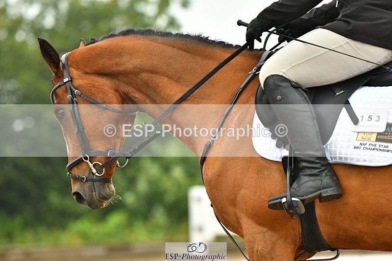 230708A-141854-03424 - Prelim 14