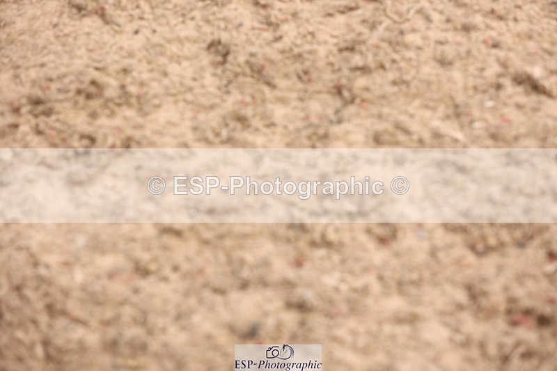 240714A-135328-02289 - Cls 11 & 12 Children on Horses