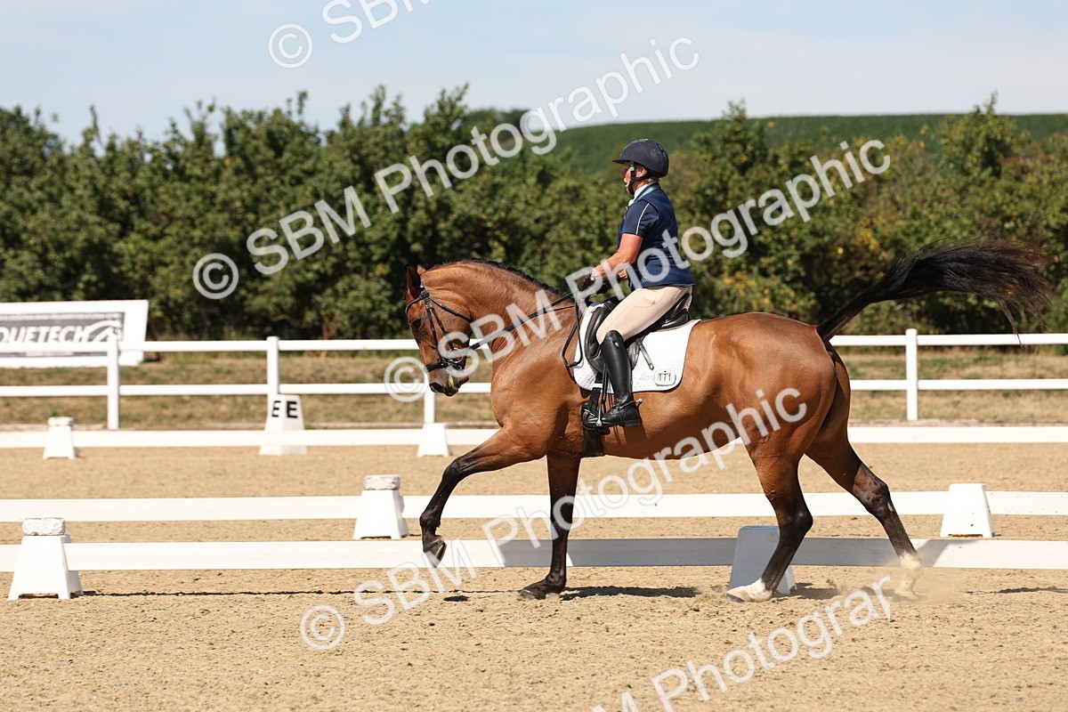 SBM_002928 - Elementary 4