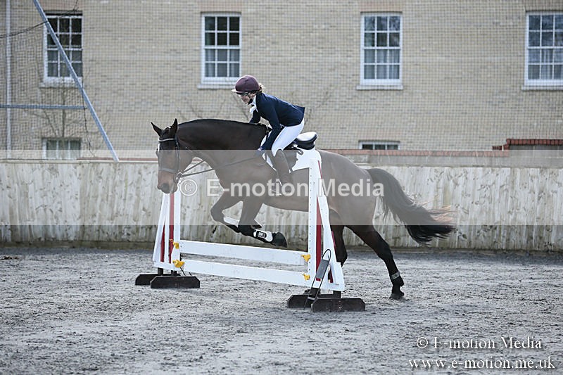 BVRC SJ 170319 100 - Bourne Valley Riding Club Showjumping 17/03/19