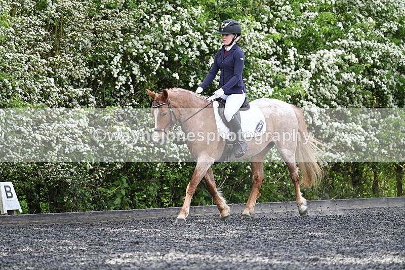 WJ7_8094 - Time 10:11 to 10:27