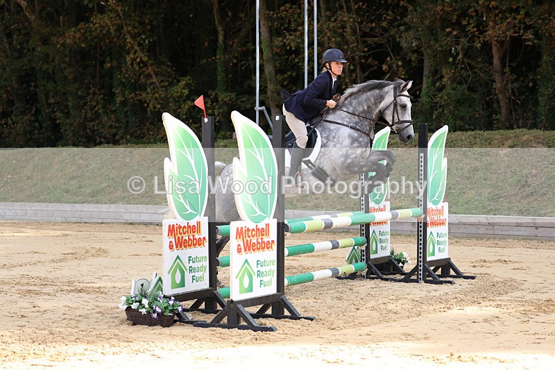 3E7A2032 - Class 4: Senior British Novice/90cm open