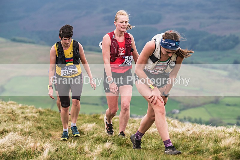 Seniors-340 - UKA 2026 Senior Inter-Counties Mountain Race - Sedbergh Sunday 3rd May 2026 - Seniors