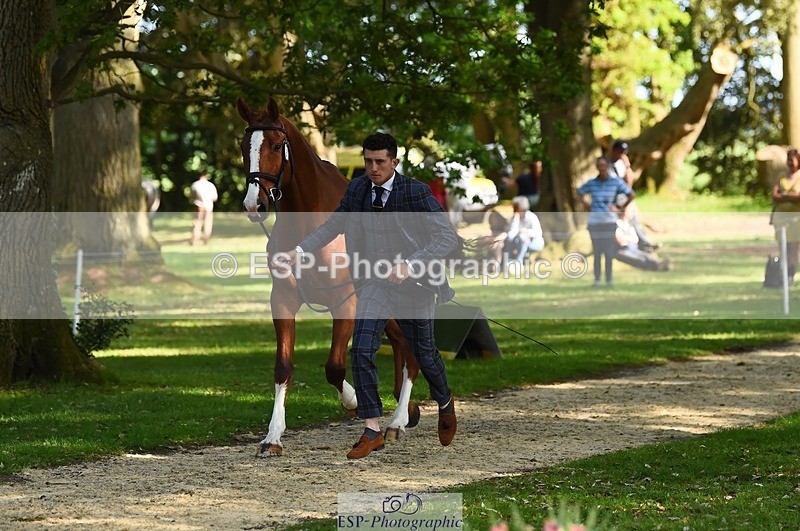 230524-170326-01257 - 131-FORTSIDE_COBRA-Freddie_Carden-WEDTrotUp+DR