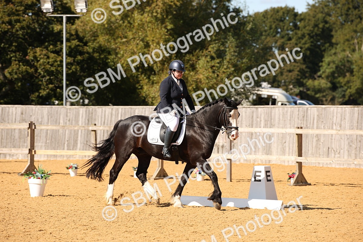 SBM_24231 - D5 - Small Tour Championship - Intro C