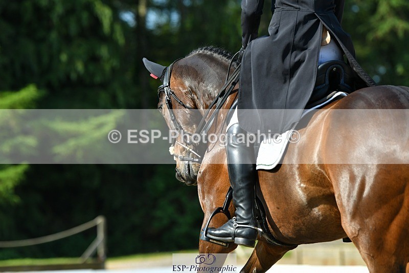230525-092742-03745 - 405-MATTERHORN_RISING-Arthur_Duffort-DR
