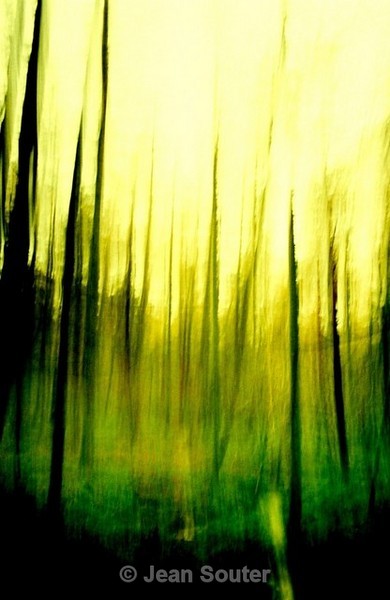 C55 - Colour Images