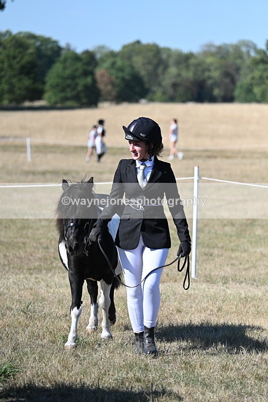 WJ7_2009 - Class 43 Best Six Legs (In hand)