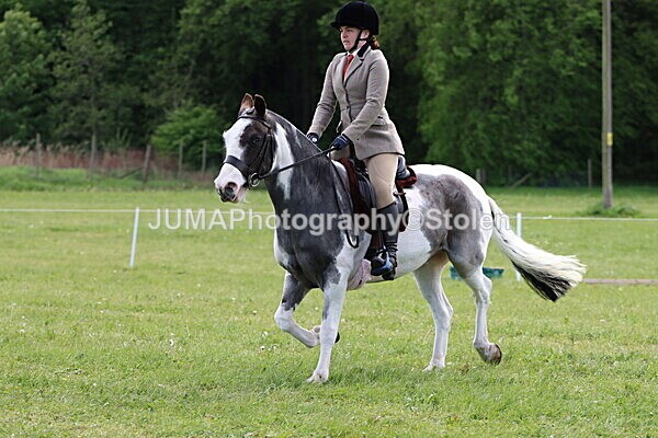IMG_3297 - Working Hunter