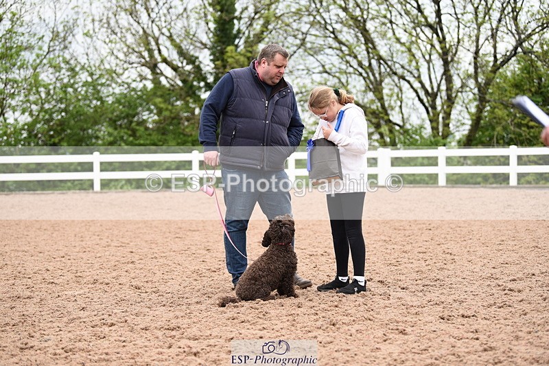 240518A-122600-01165 - Cls 4 Best Crossbred