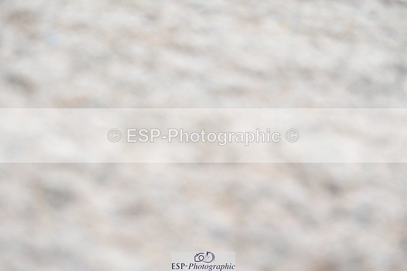 230813-144341-07825 - Cls 13 Medium Bronze 13.15 to End