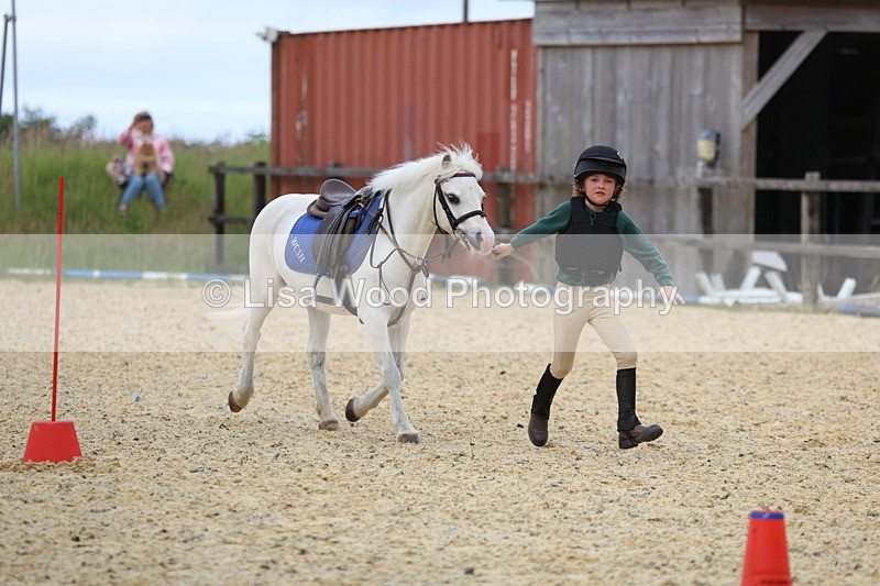 3E7A9487 - Walk trot run