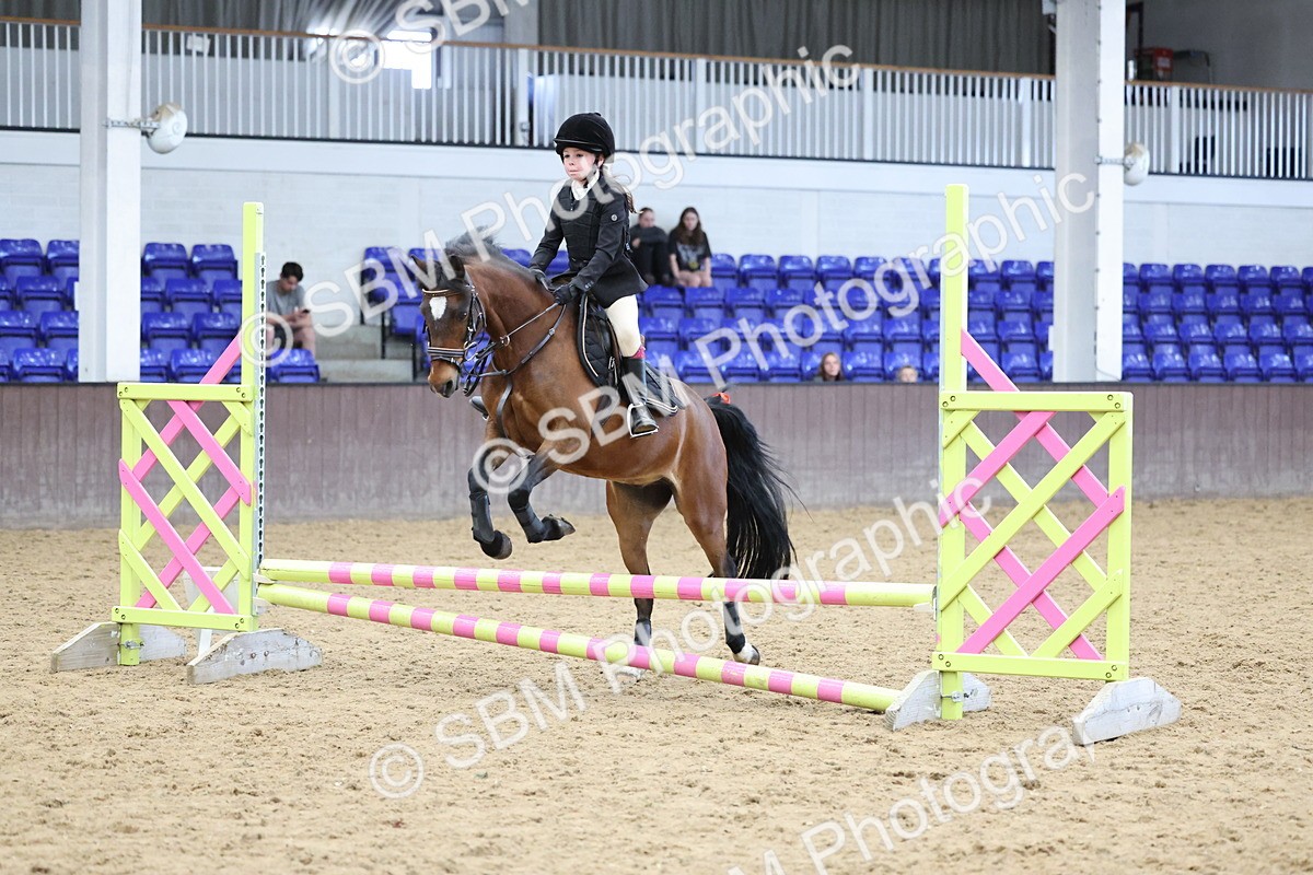 SBM_007752 - Class 3 - 60cm showjumping