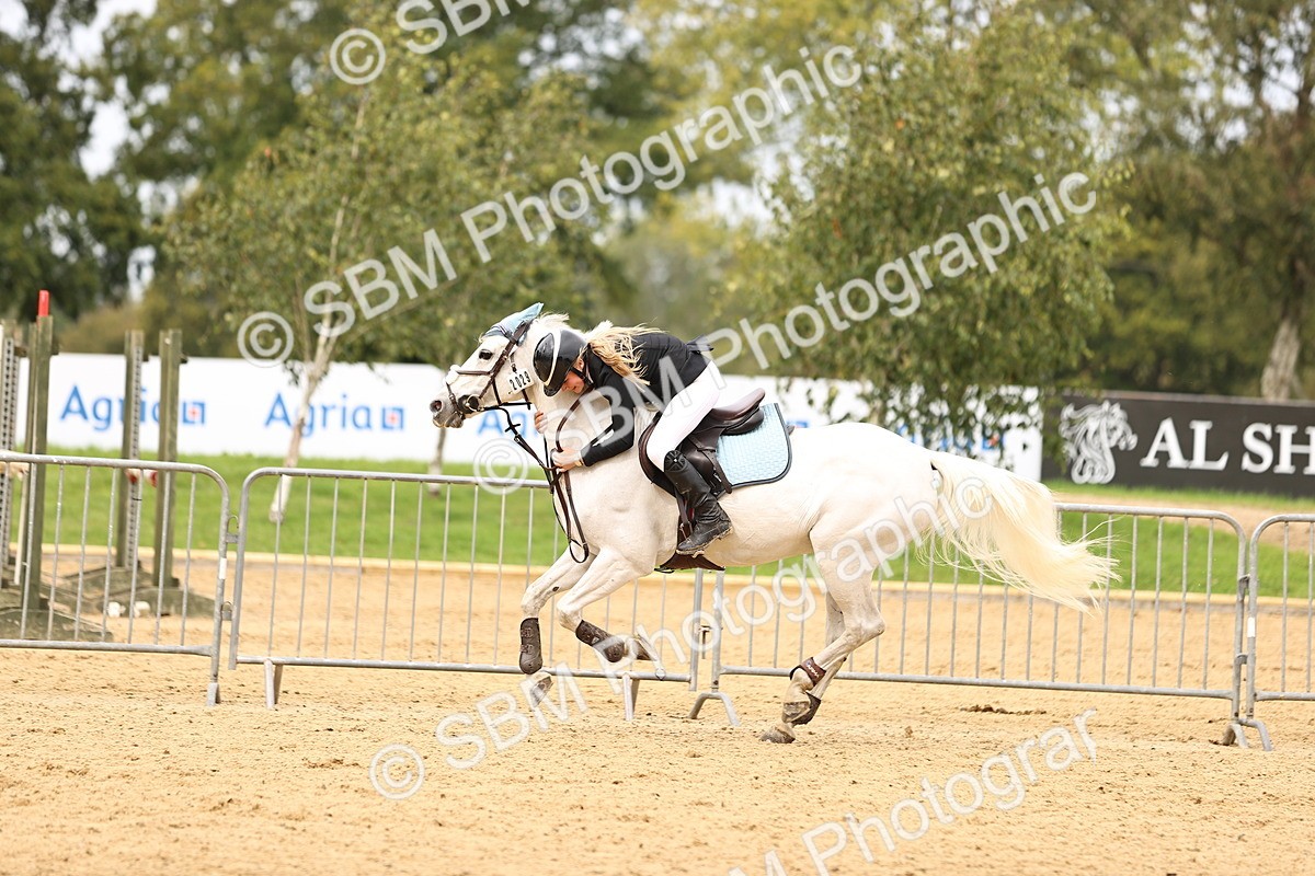 SBM_62936 - Supreme Championship 95cm 1.00m