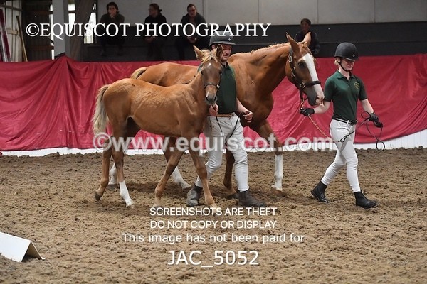 JAC_5052 - 9 Zinzipan