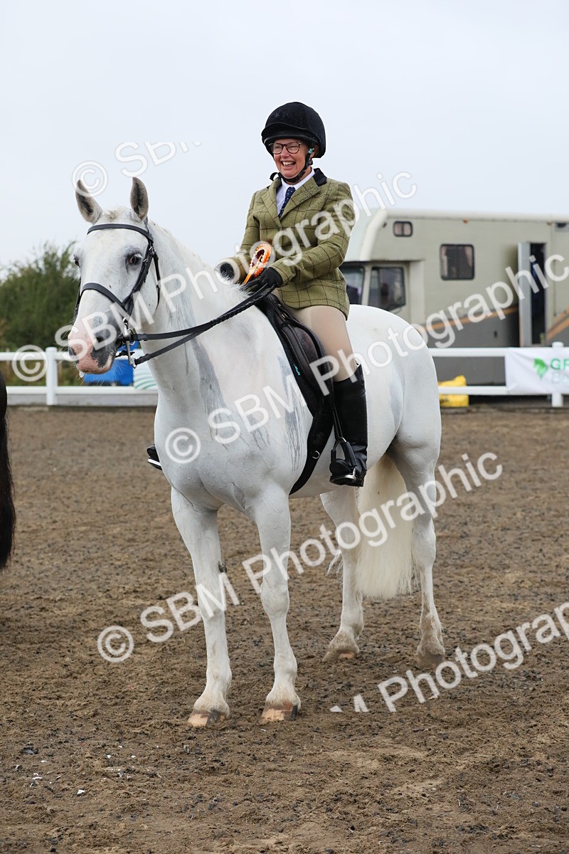 SBM_20391 - Class 803 - Ridden Combination 65+