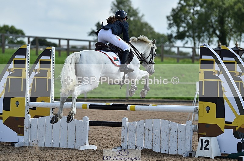 230902A-131200-01352 - Cls 3A Pony Medium 80cm