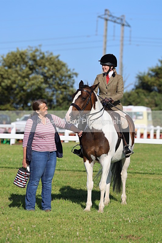 IMG_1328 - Class 27: Ridden Plaited Coloured Horse