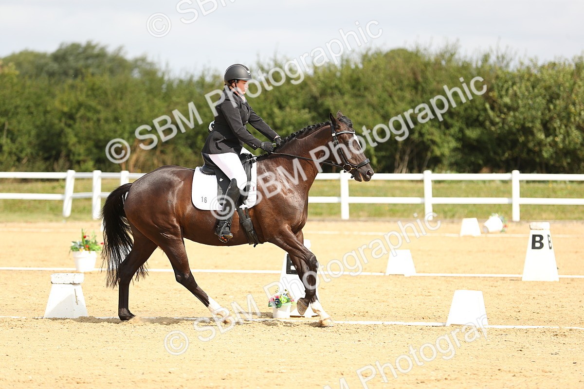 SBM_016284 - Class 13 - Novice 23 - 11.25-12.35