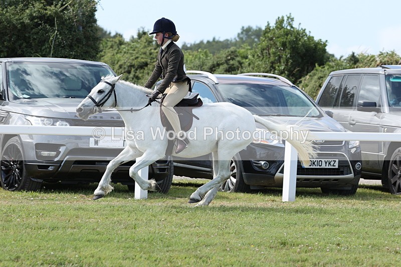 JPP_2397 - Class 19: Working Hunter 60cm