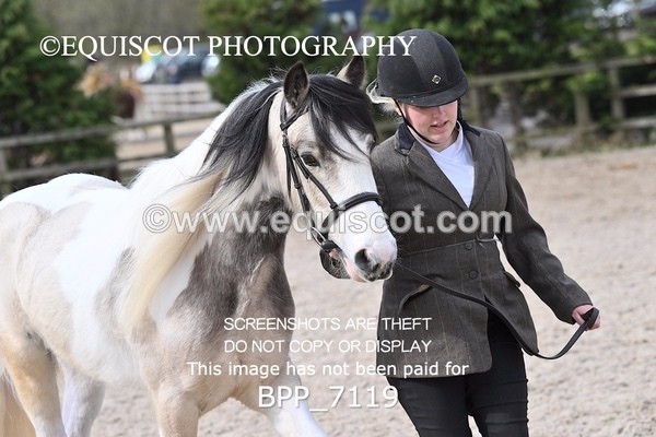 BPP_7119 - RING 1  (RIDDEN HORSES / IN HAND / VETERAN ETC)