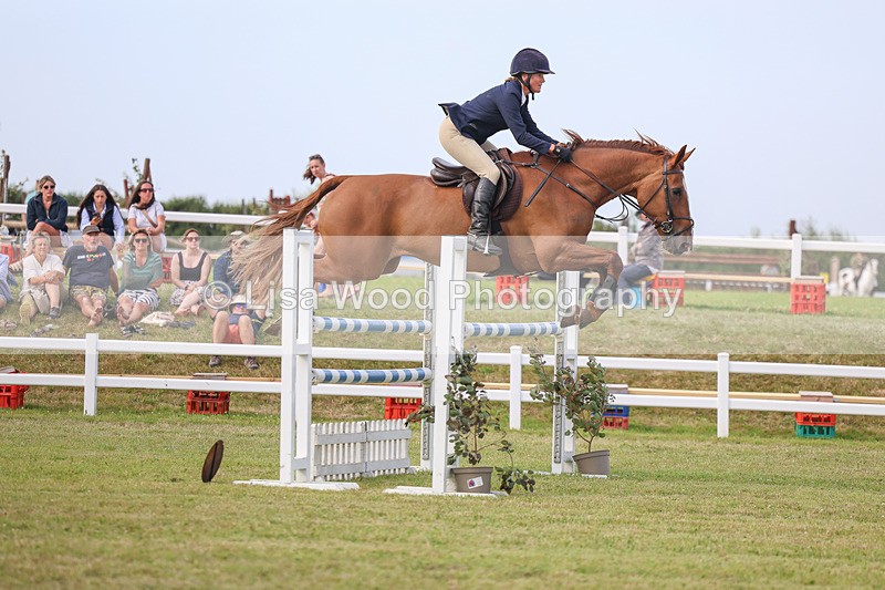 3E7A0853 - Class C: Showjumping Senior Foxhunter