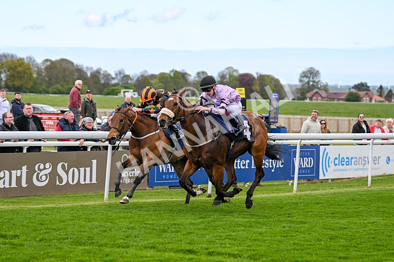 240425-Race 2-Brummell-1073 - Race 2