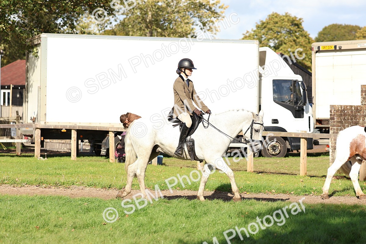 SBM_52364 - S13 - Pony Club Pony