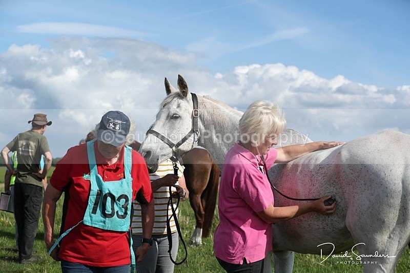 SPXX0018 - Friday vetting
