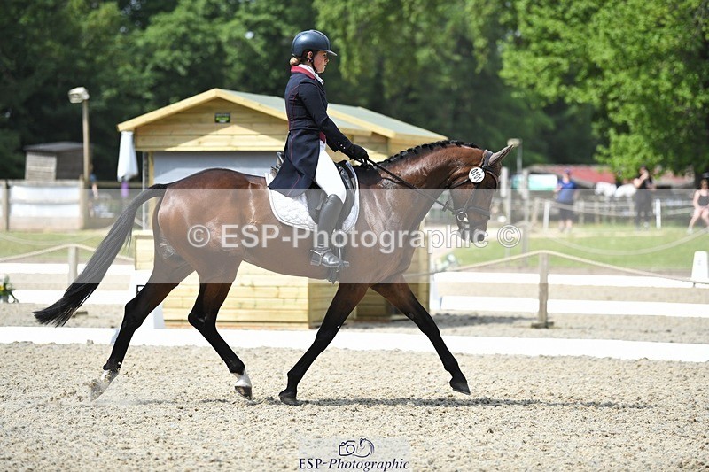 230525-113104-01847 - 101-INTERFIELDS_ABOUDDI-Saffron_Cresswell-WEDTrotUp+DR