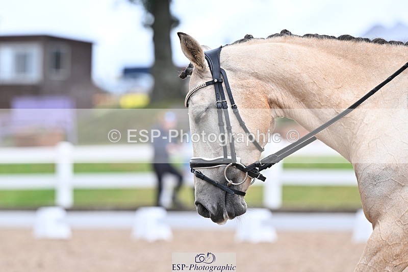 250622-131017-15307 - Cls 51 Elementary 6