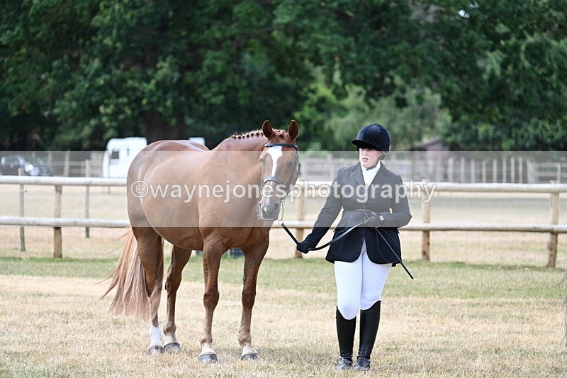 WJ7_1896 - Class 4a Prettiest Mare 14.2hh and over hand