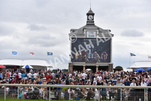 yr23072022r5-53 - Race 5 4.25pm Sky Bet UK's No1 Betting App Stakes
