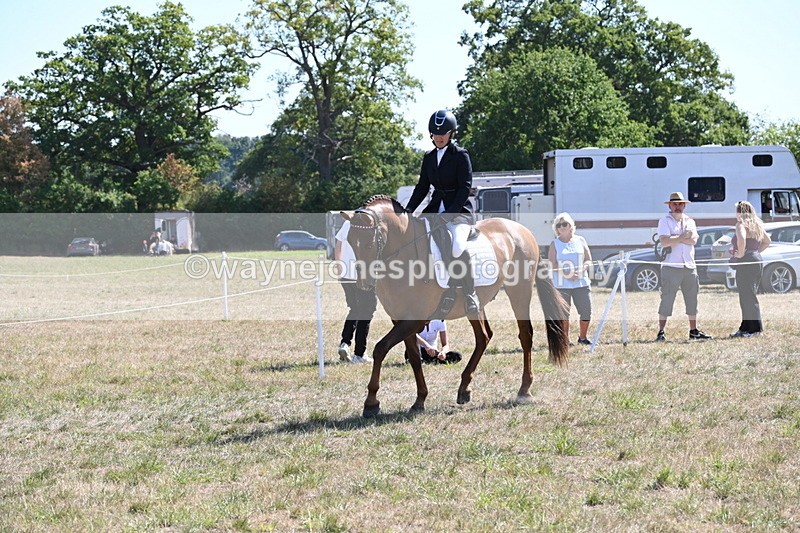 WJ6_8854 - Class 38 Ridden Riding Horse/Pony