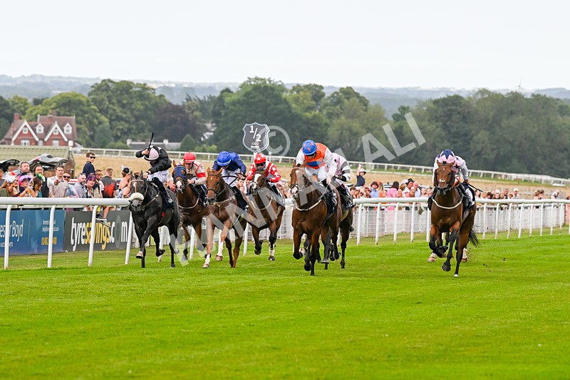 140824-Race 7-Willolarupi-7103 - Race 7