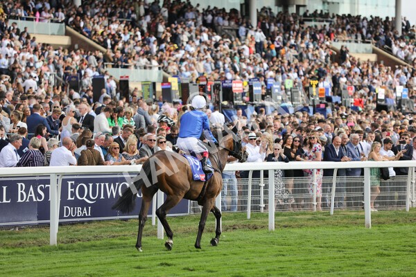 yr20082022r4-217 - Race 4 3.35pm Sky Bet Ebor