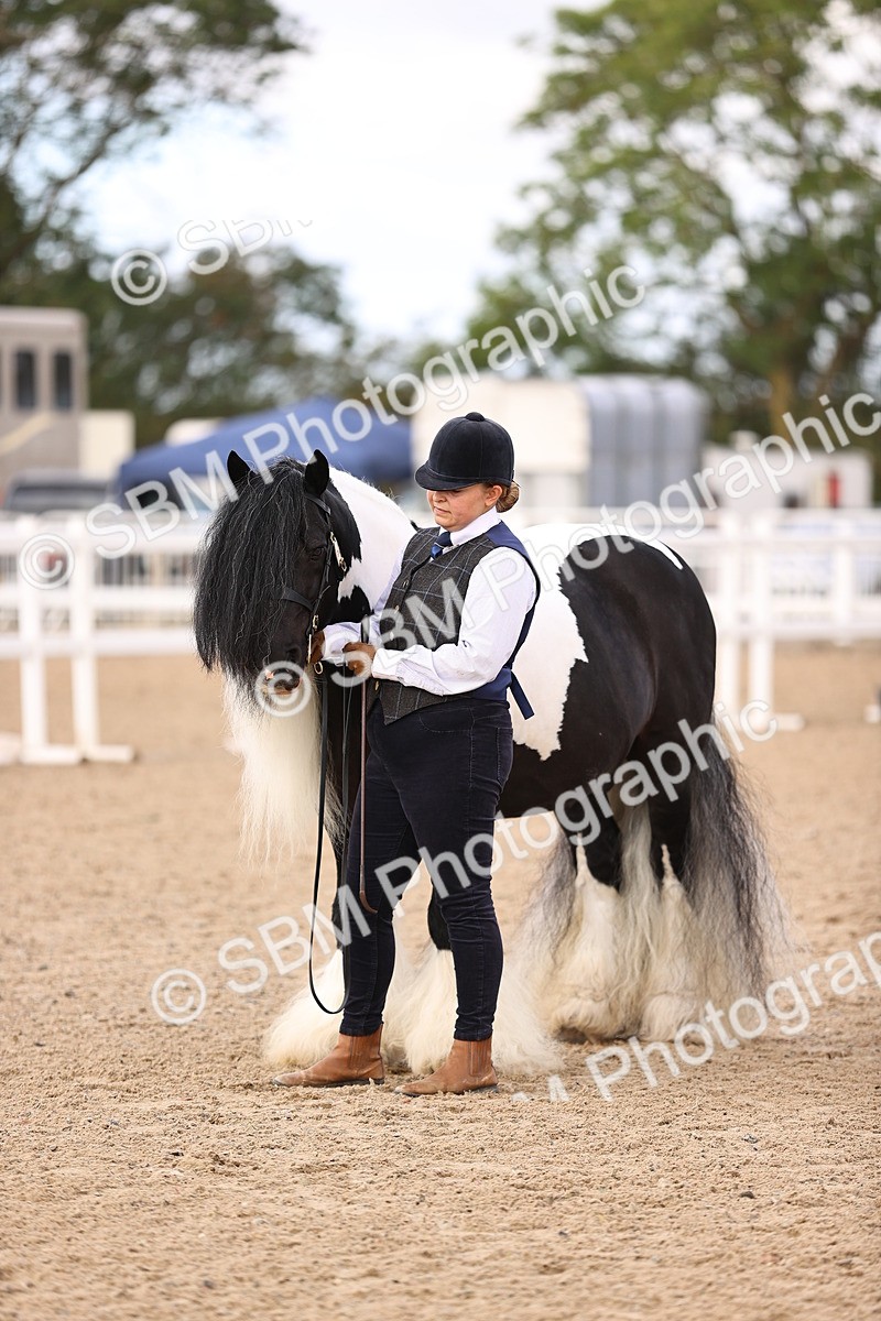 SBM_09320 - Class 404 - IH Traditional - Native Cob
