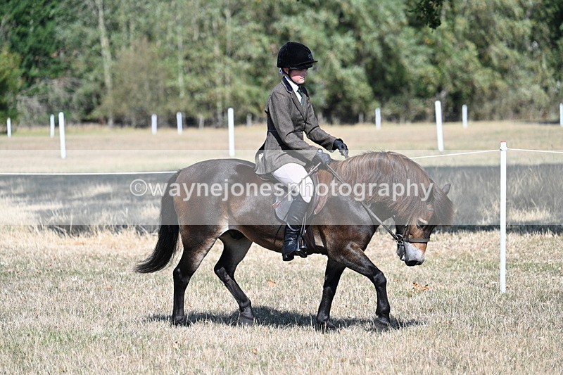 WJ7_3474 - Class 9 Mountain & Moorland Ridden