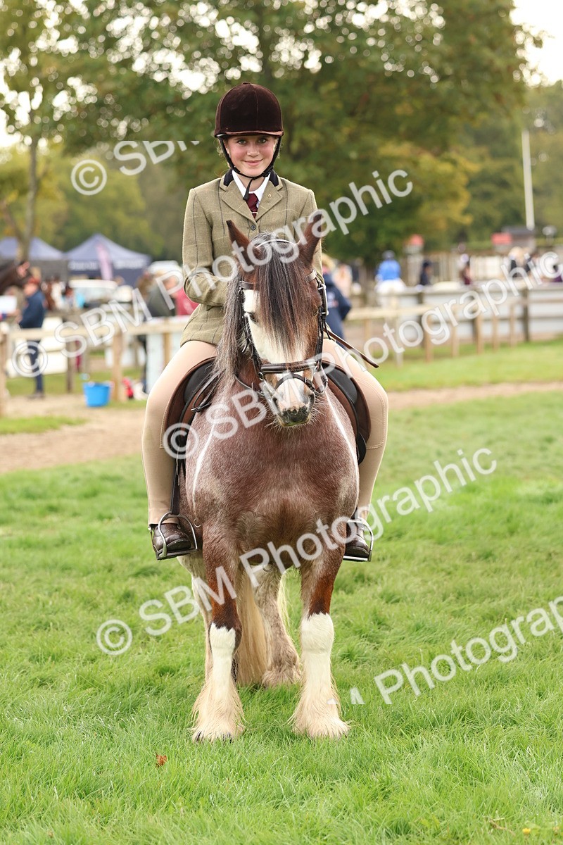 SBM_56704 - S40 - Starters Ridden Showing