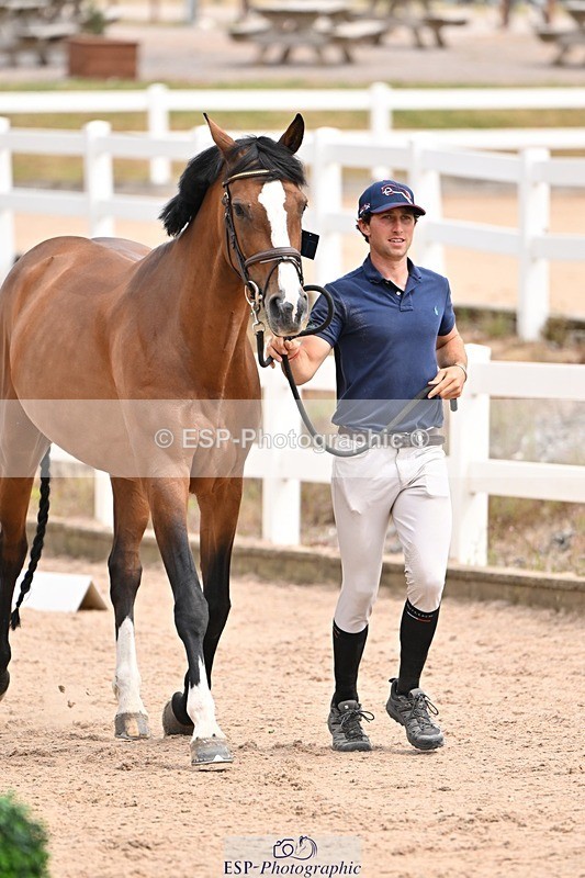 250716-150831-01672 - Trot Up 2.30 to 3.30