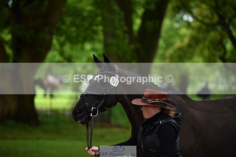 240522-155056-00527 - 101-MORELANDS_CASANOVA-Daisy_Bathe