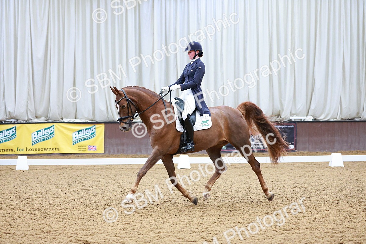 SBM_001116 - Class 12-19-16 - Lusitania-FEI INT I - PYO ADV 1