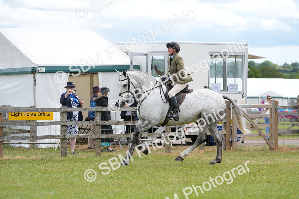 SBM_14884 - Class 100-102 - RIHS Working Hunter