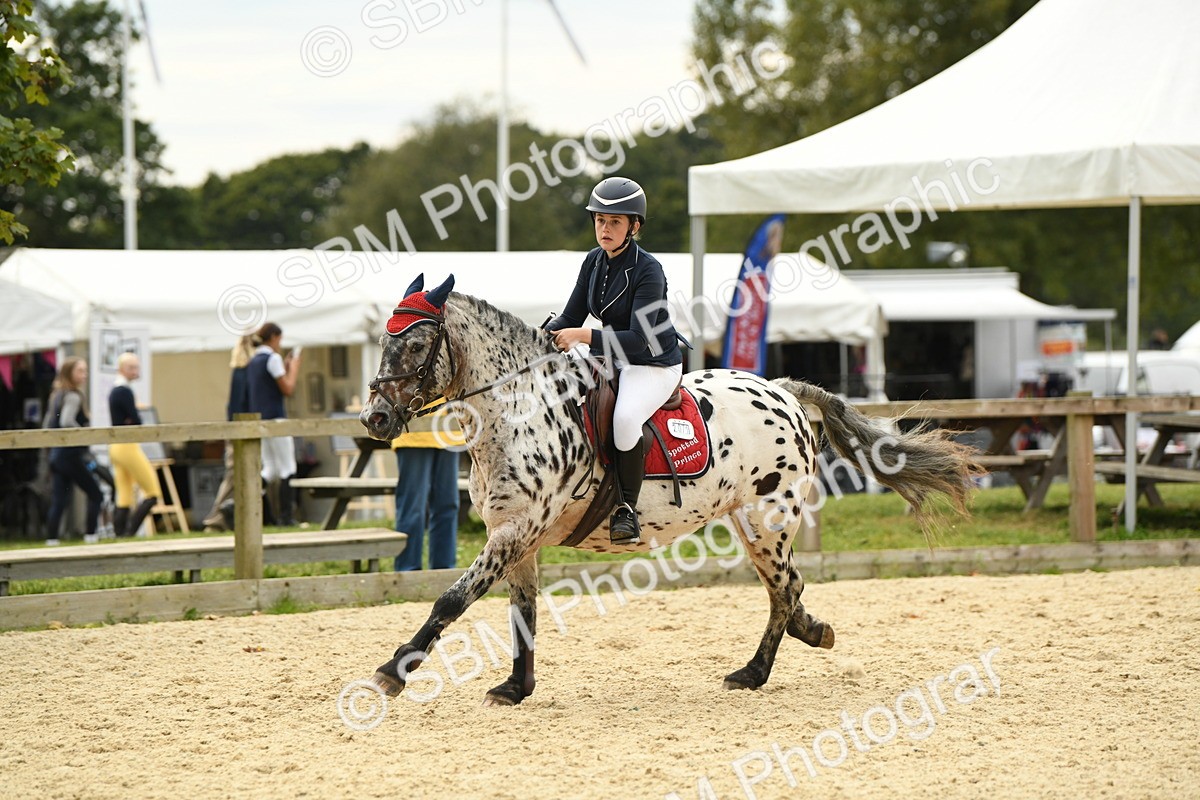 SBM_75669 - Supreme Championship