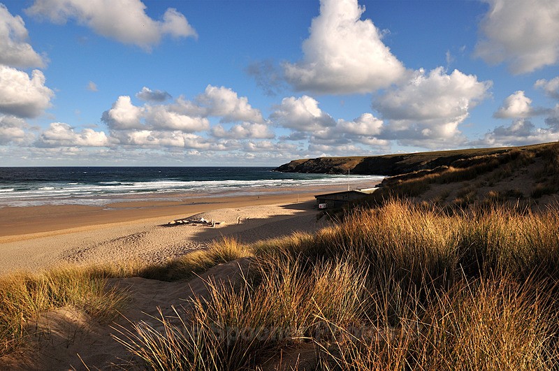 Holywell Bay Beach in early morning golden light - Cornwall Misc