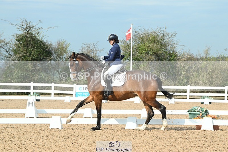 250403-095652-01106 - 037-Fay.Lai-Greenlanes.Lullaby