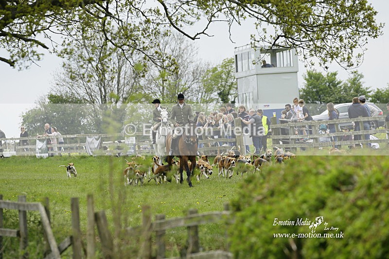 PtP 020522 250 - Mollington Races Point-to-Point 02/05/22
