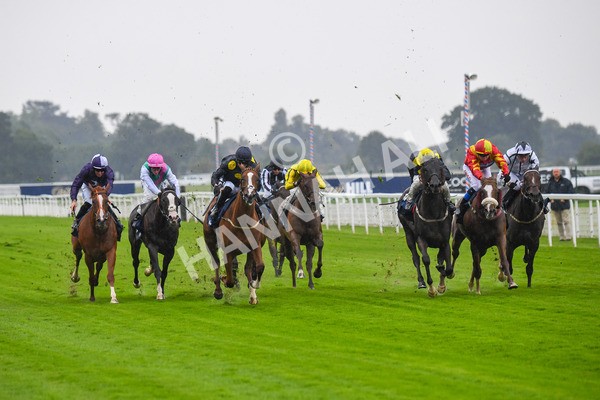 140723-Race 2-Swingalong-0143 - Race 2 2.40pm William Hill Summer Stakes