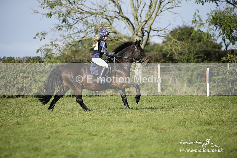  WWHT 031021 1290 - Open Novice (0.80m) 03/10/21